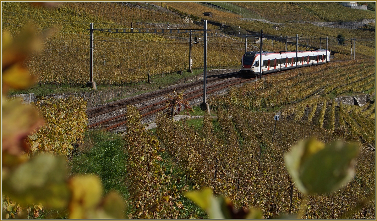 Ein Flirt im herbstlichen Lavaux. 
23. Okt. 2014 