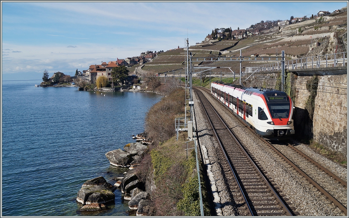 Ein  Flirt  nach Villeneuve kurz nach Rivaz.
22. Feb. 2014