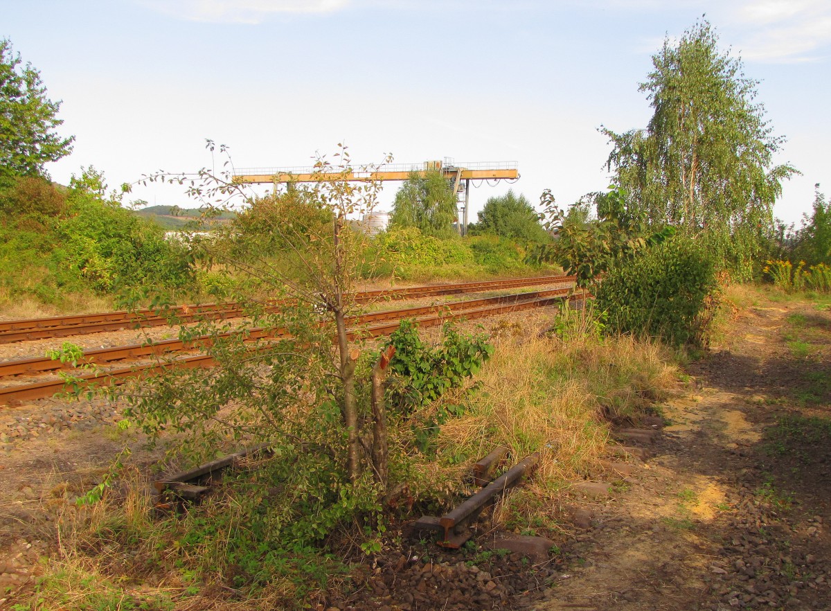 Ein kleiner Rest vom fr�heren Gleis 9, am 07.09.2013 am Stellwerk Lo in Laucha.