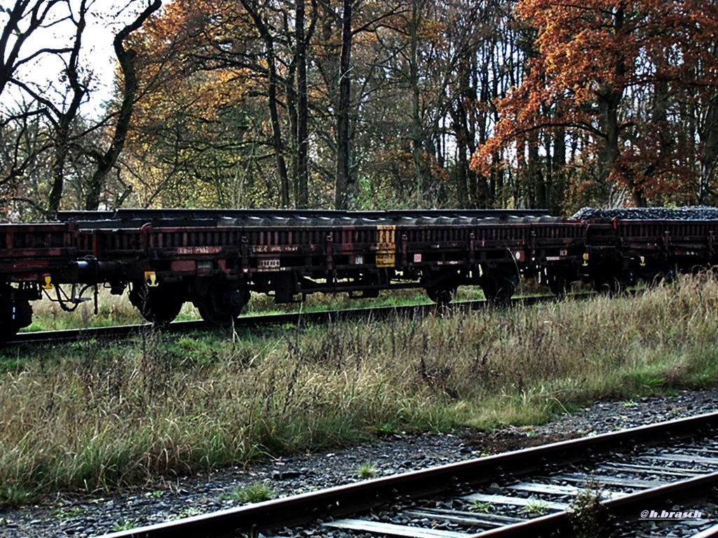 ein KLs-X 448/3468 219-8,beladen mit gleisjoche,aufgenommen im bf glinde,am 24.11.14