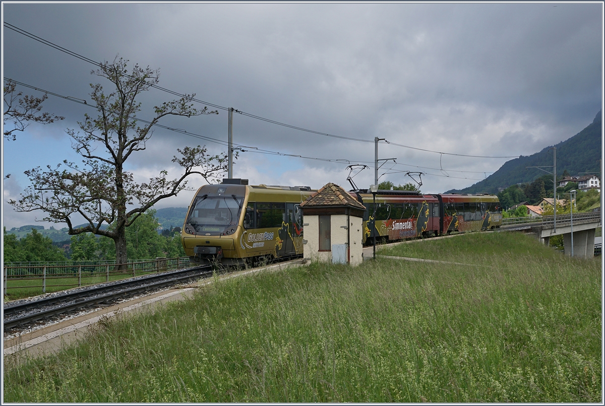 Ein  Lenkerpendel  auf dem Weg nach Zweisimmen bei Châtelard. 

6. Mai 2020