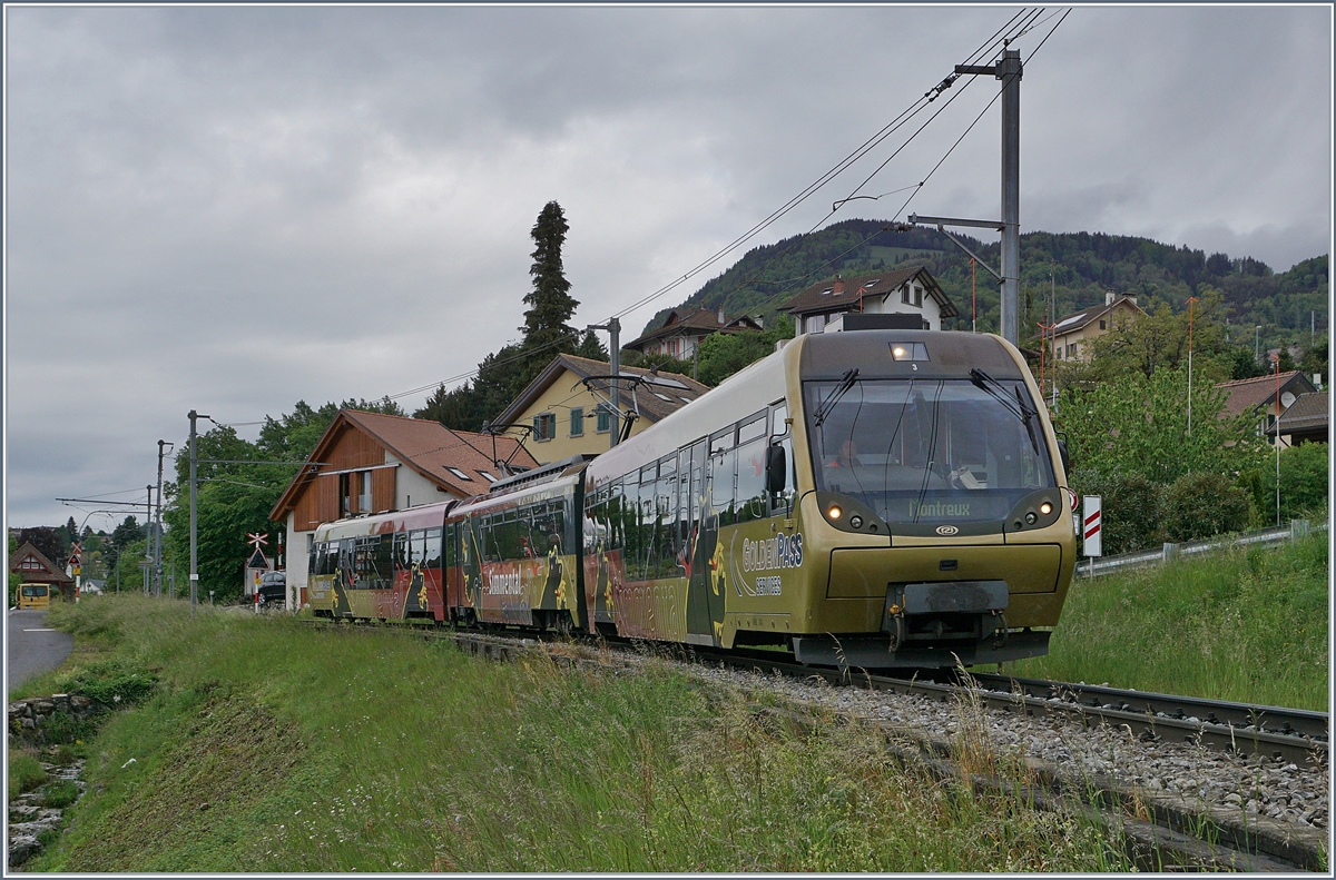 Ein  Lenkerpendel  auf dem Weg nach Montreux bei Planchamp.

2. Mai 2020