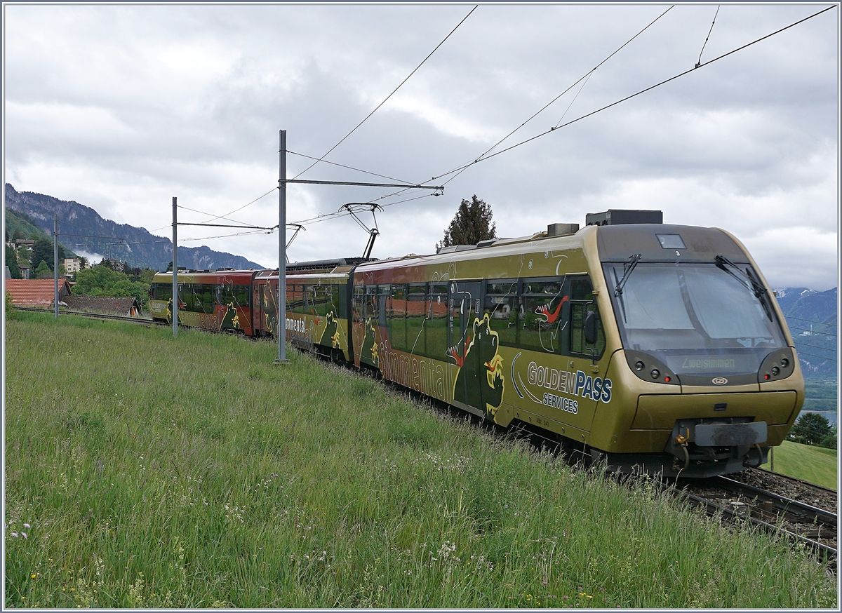 Ein  Lenkerpendel  auf dem Weg nach Zweisimmen bei Sonzier. 

2. Mai 2020