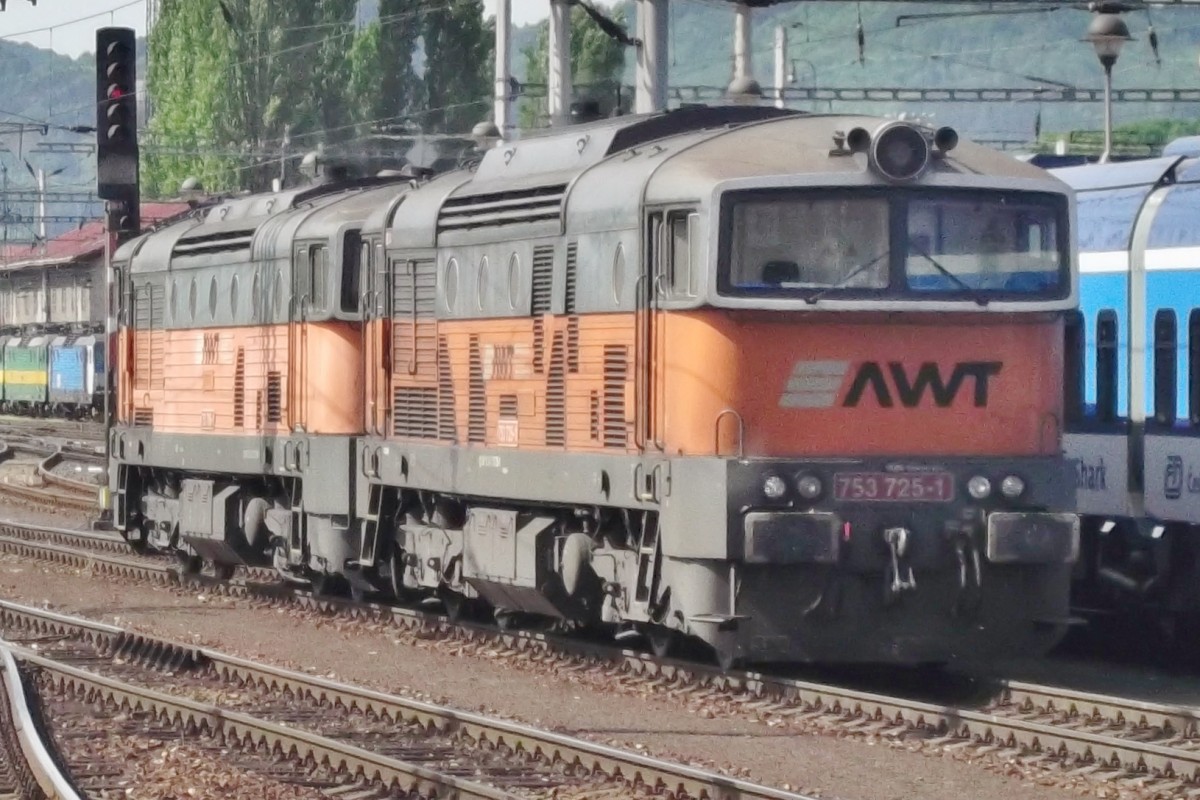 Ein privater Taucherbrill in Decin hl.n. am 23 Mai 2015: AWT (Advance World Transport) 753 725 mit Schwester sonnt sich. 