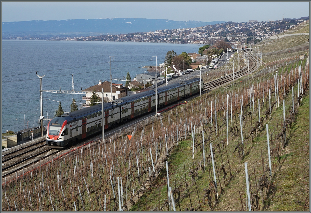 Ein RABe 511 al RE Genève - Vevey bei Cully.
22. Feb. 2016