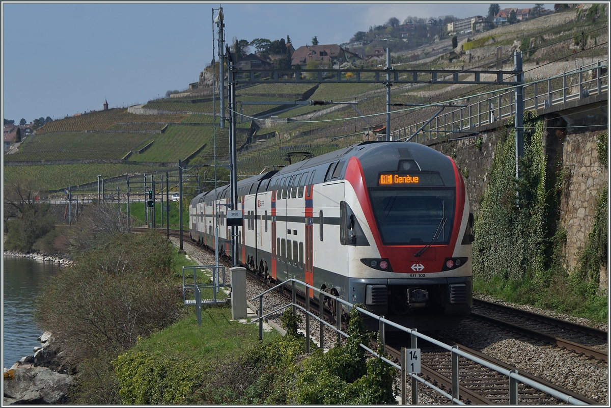 Ein RABe 511 als RE Vevey - Genève zwischen St-Saphorin und Rivaz. 6. April 2014