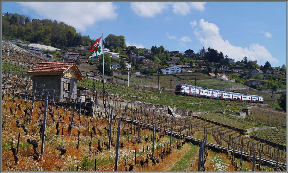 Ein RABe 511 in den Weinbergen bei Grandvaux.
23. April 2014