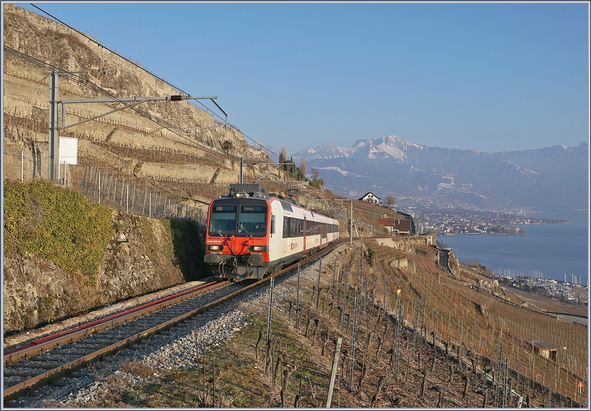 Ein RBDe 560 Domino auf der Fahrt von Vevey nach Puidoux auf der  Train de Vignes  Strecke oberhalb von St-Saphorin. 
25. Jan. 2019