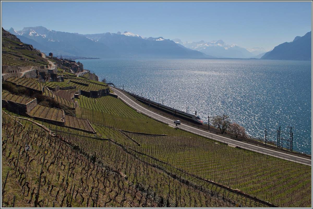 Ein SBB ETR 610 / RABe 503 auf dem Weg von Milanon nach Genève zischen St-Saphorin und Rivaz.
6. April 2015