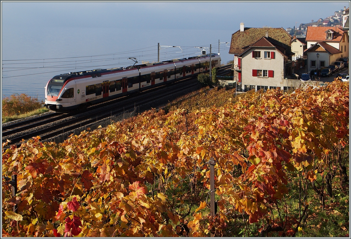 Ein SBB Flirt RABe 523 bei den letzten bunten Herbst-Blättern bei St Saphorin.
22. Nov. 2014