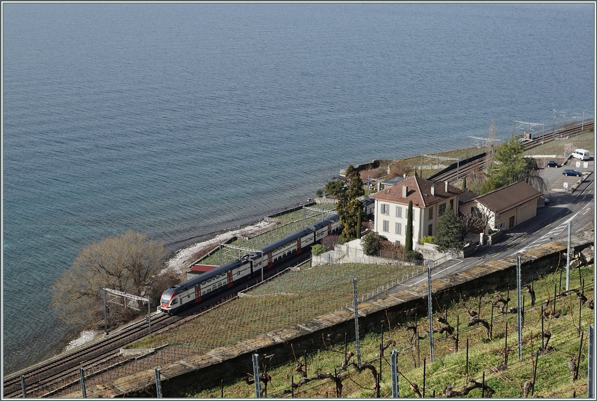 Ein SBB RABe 511 als RE Vevey - Genève kurz vor Cully.
22. FEb. 2016