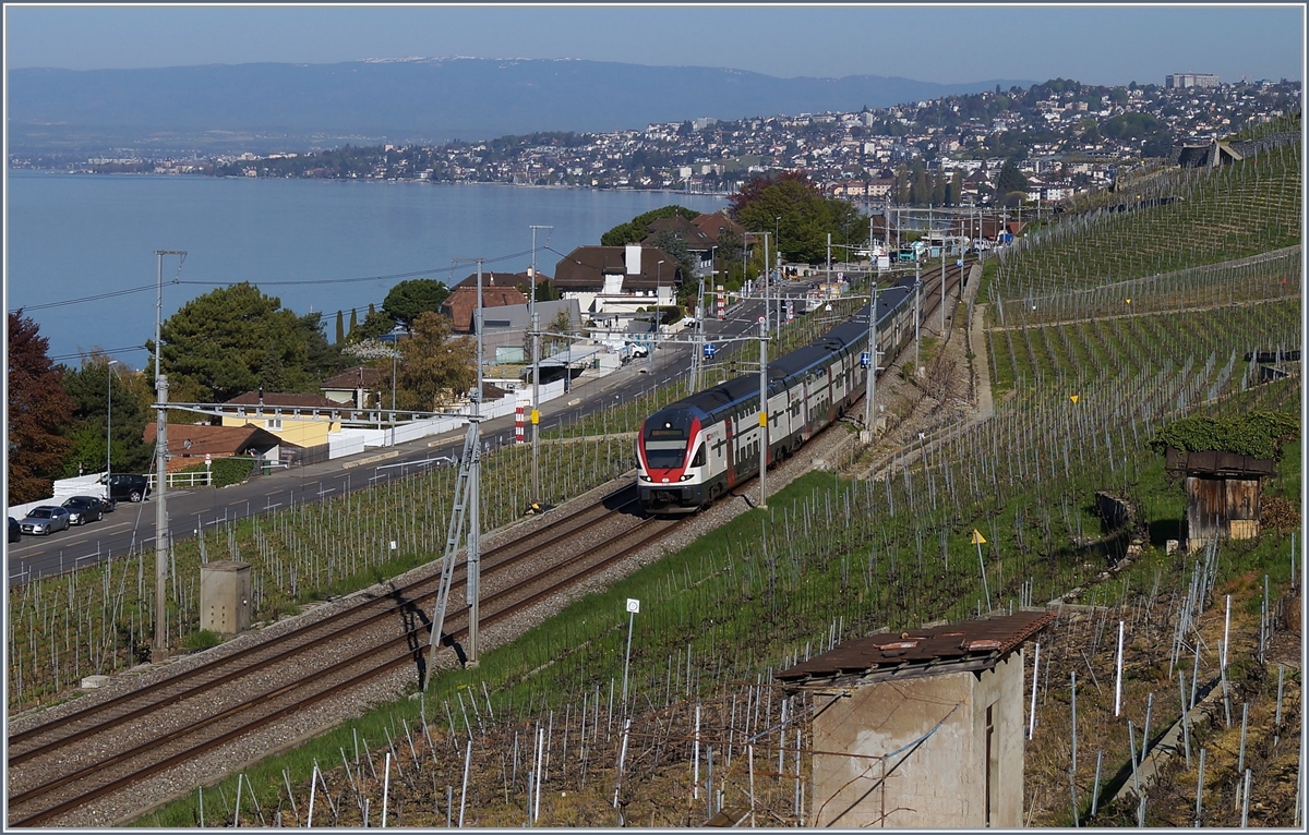 Ein SBB RABe 511 als RE auf dem Weg nach Vevey kurz vor Cully. 
20. April 2018