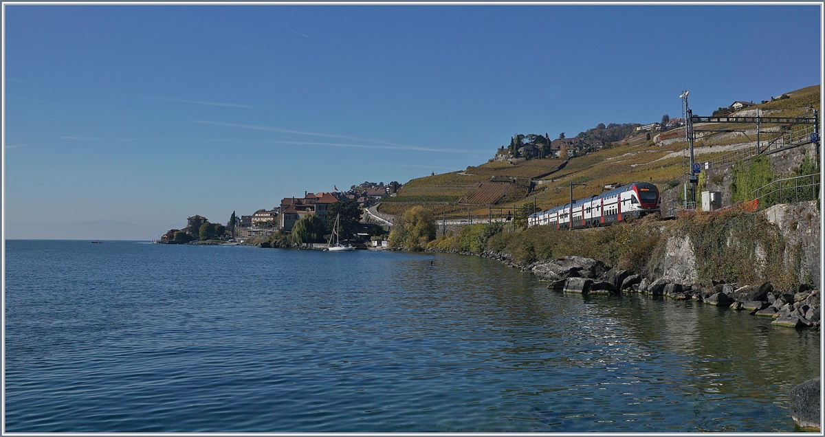 Ein SBB RABe 511 als RE Vevey - Genève kurz vor Rivaz. 

25. Okt. 2018