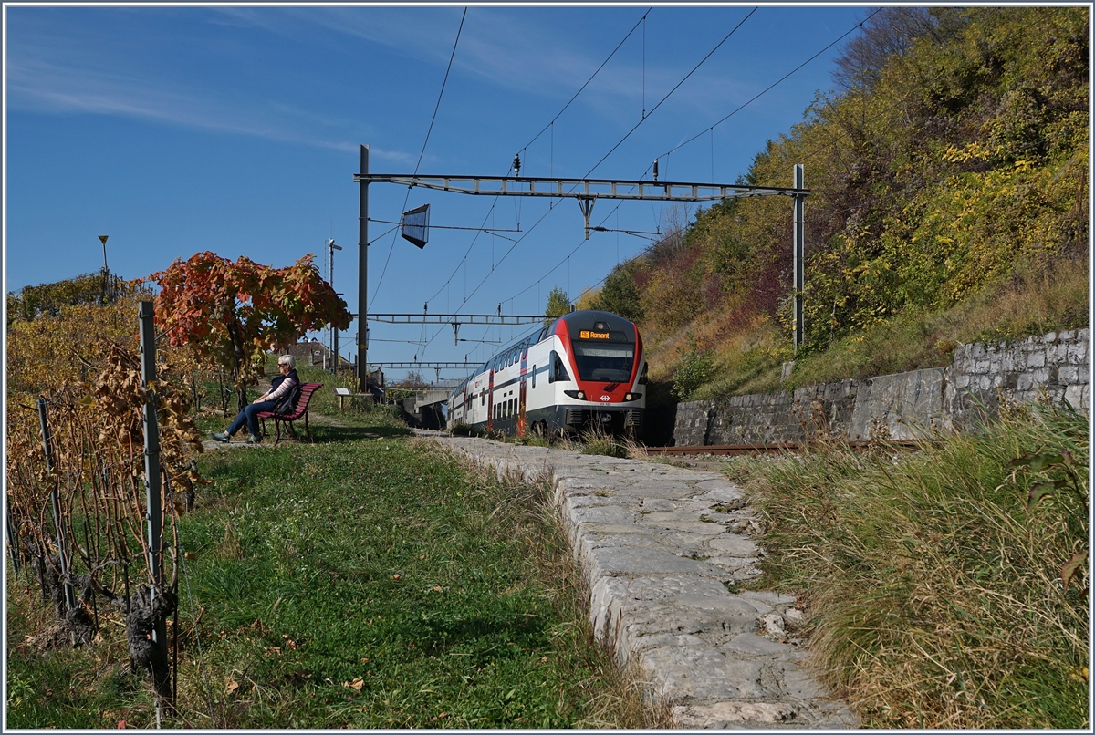 Ein SBB RABe 511 nach Romont zwischen Bossière und Grandvaux.
26. Okt. 2017