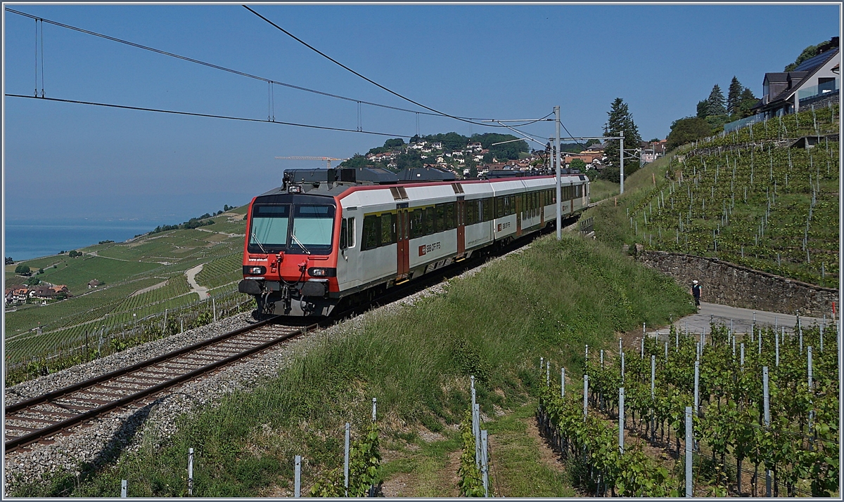 Ein SBB RBDe 560  Domino  ist auf der Train des Vignes stre3cke bei Chexbres unterwegs. 

17. Mai 2020