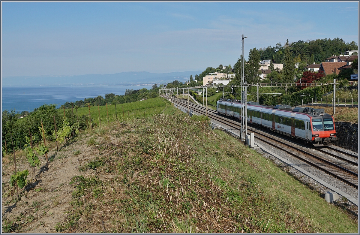 Ein SBB RBDe 560  Domino  auf dem Weg nach Kerzers kurz nach La Conversion. 

14. Juli 2020