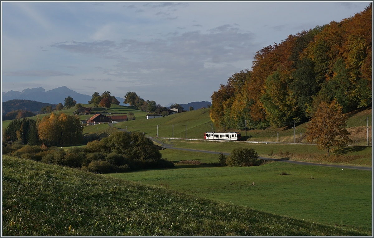 Ein TPF Surf zwischen Châtel St-Denis und Semsales in der herbstlichen Umgebung in der Nähe der ehemaligen Haltstelle Prayoud mit Blick auf die nicht weit entfernten Savoyer-, Waliser- und Waadtländeralpen.

22. Okt. 2020