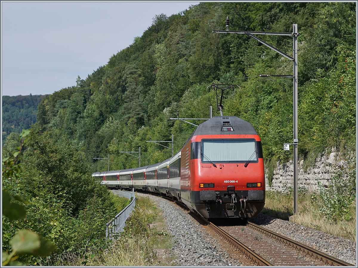Ein umgeleitet IR nach Basel mit der SBB Re 460 066-4 kurz nach Rümlingen.

7. Aug. 2018