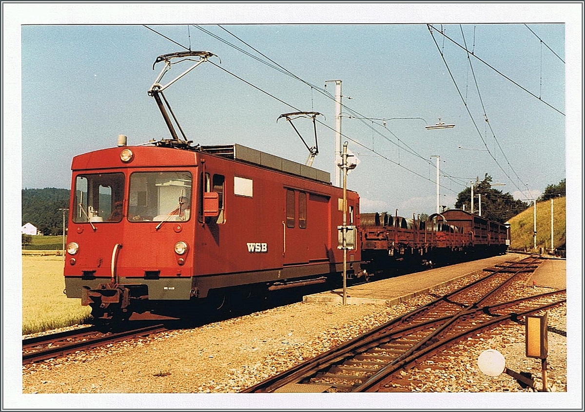 Ein WSB De 4/4 zieht bei Zetzwil einen  Rollbock -Güterzug Richtung Menziken Burg.
18. Juli 1984