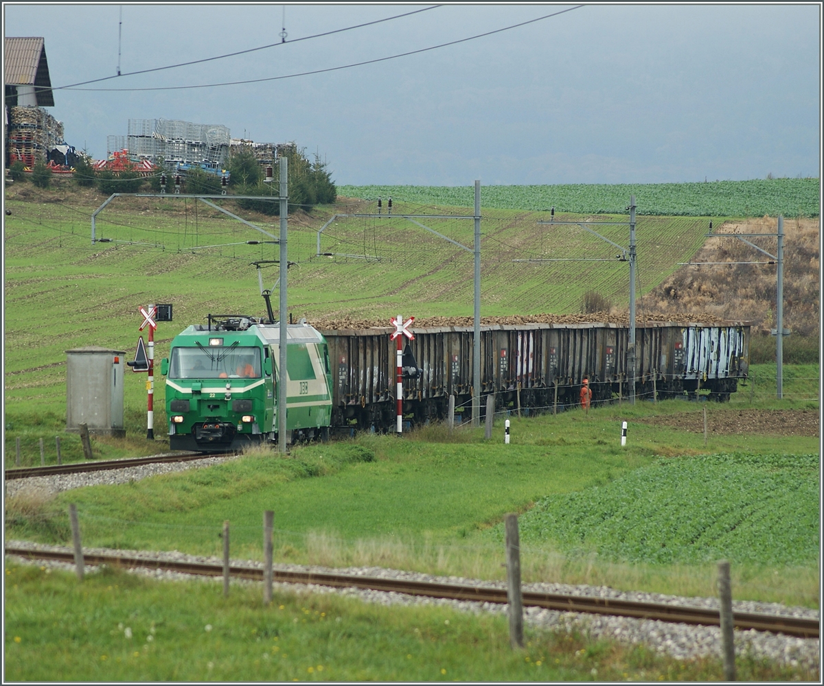 Ein Zuckerrübenzug der BAM bei Mauraz. 
15. Okt 2014