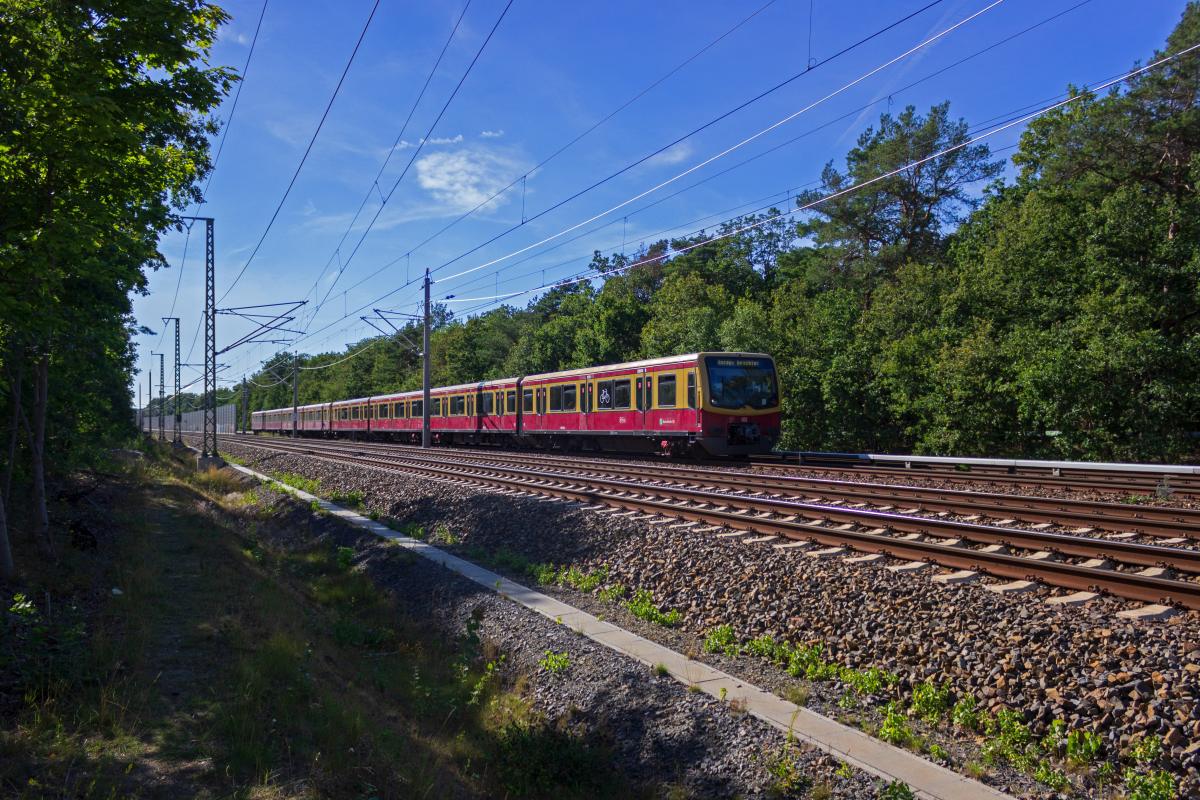 Ein Zug der Linie S3 ist zwischen Friedrichshagen und Rahnsdorf auf dem Weg nach Erkner. 