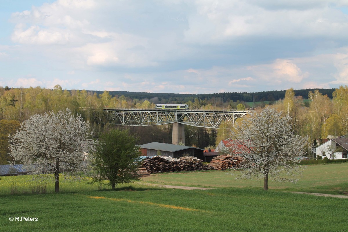 Eine Agilis auf dem Weg nach Kirchenlaibach bei Unterthölau. 22.04.14