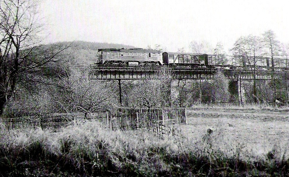 Eine DR V200 in Mertendorf, mit einem G�terzug Richtung Naumburg. (Foto: Archiv IG Unstrutbahn e.V.)