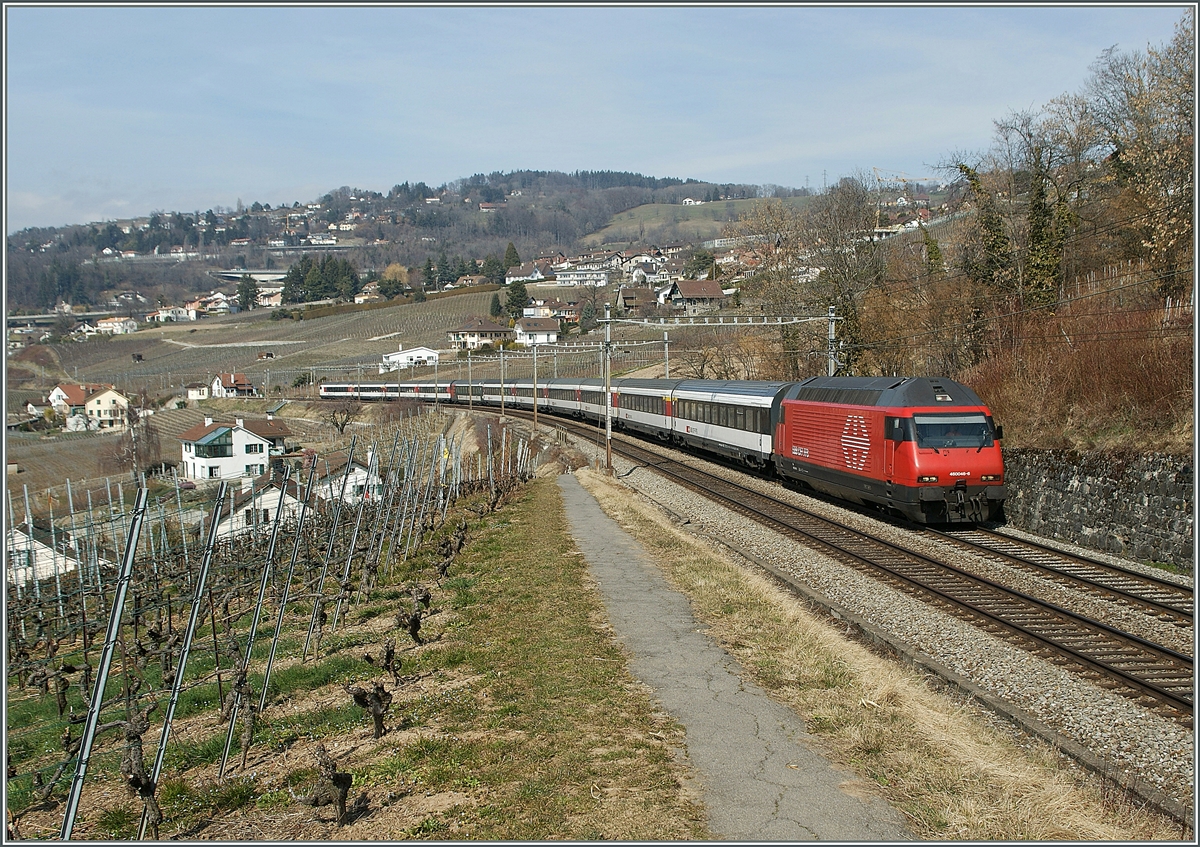 Eine Re 460 mit einem IR nach Luzern zwischen Bossire und Grandvaux. 
10. Mrz 2011