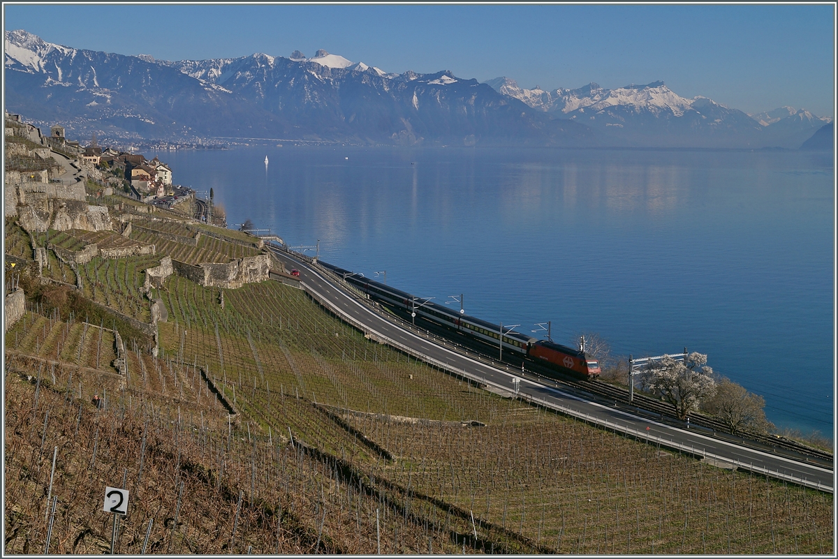 Eine Re 460 unterwegs Richtung Lausanne bei St-Saphorin.
7. März 2014