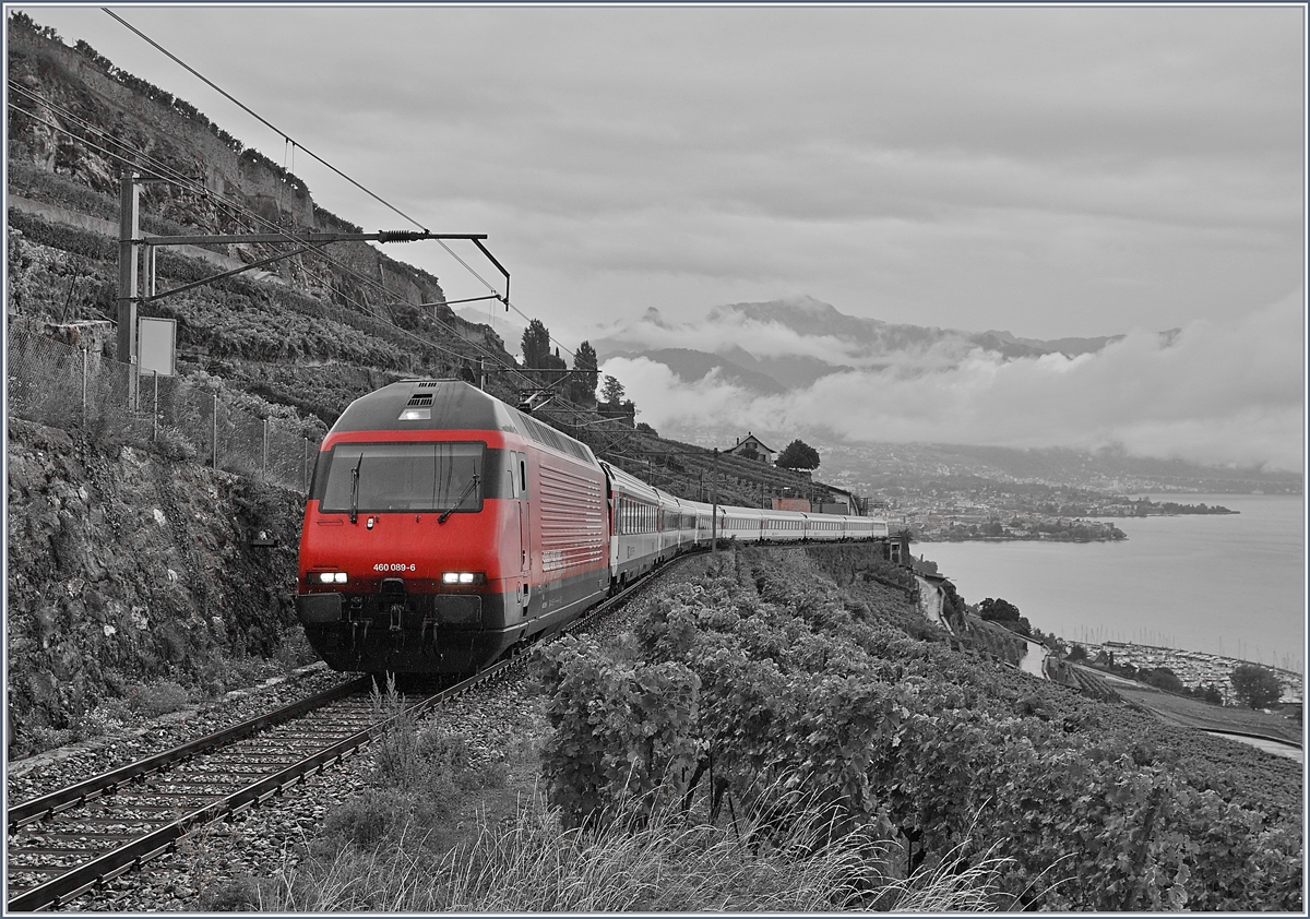 Eine SBB Re  460 ist auf der  Train des Vignes / Weinberg Strecke mit einem umgeleiteten IR 90 unterwegs. 

29. Aug. 2020