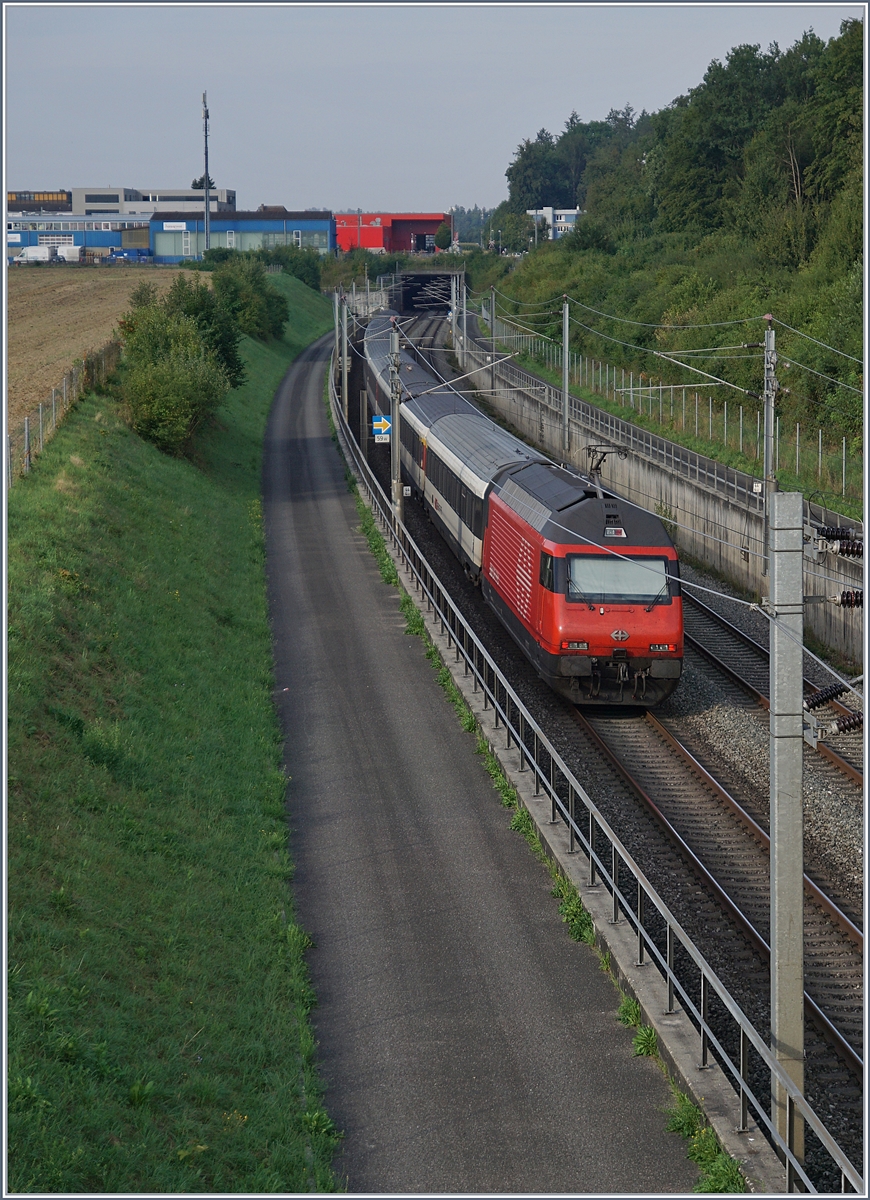 Eine SBB Re 460 mit einem IC/IR auf der Schnellfahrstrecke NBS Mattstetten Rothrist bei Langenthal; leider vermittelt das Foto kein Impression der Geschwindigkeit des sehr schnell vorbeifahrenden Zuges. 

10. August 2020