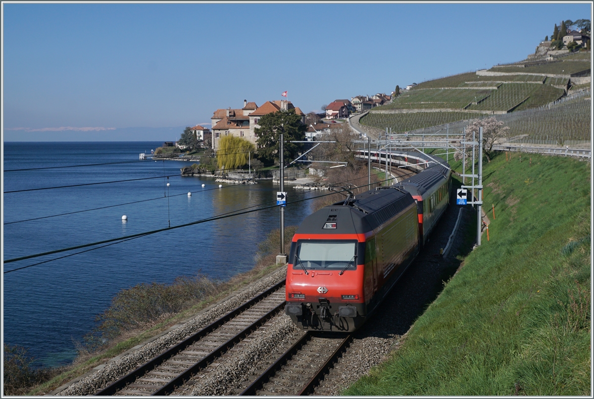 Eine SBB Re 460 ist mit ihrem IR bei Rivaz unterwegs. 

20. März 2021 