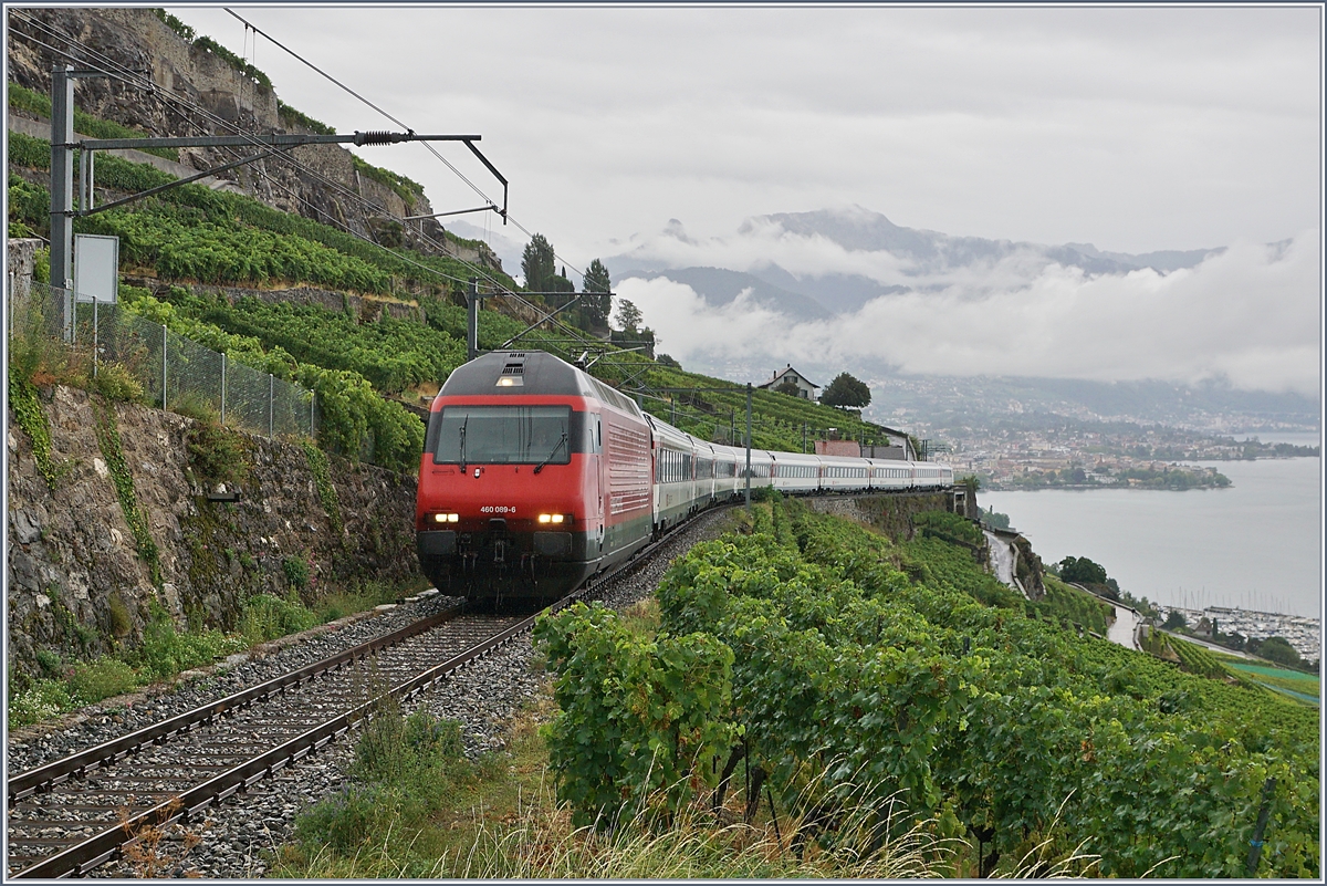 Eine SBB Re 460 mit einem Umleitungszug auf der  Train des Vigens (Rebberg) Strecke kurz vor Chexbres. 

29.08.2020