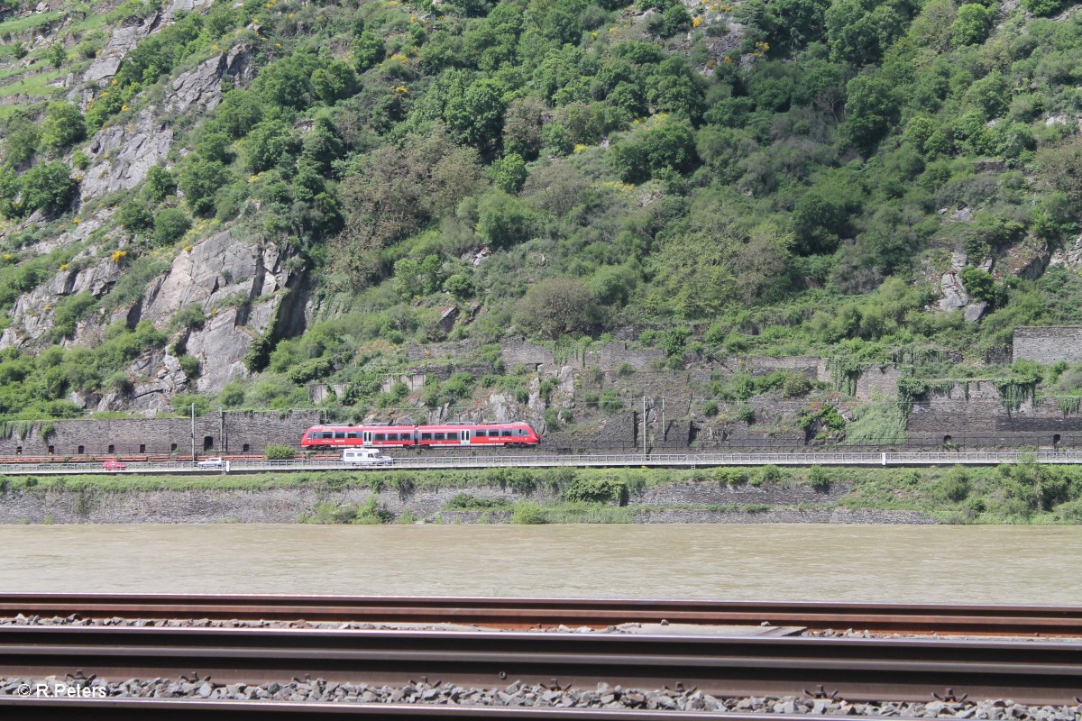 Eine zweiteilige  Hamsterbacke  BR 442 auf der Linken Rheinstrecke. 07.05.15