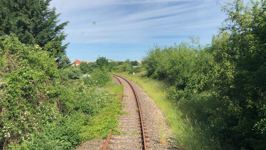 Einfahrt in den Bahnhof Roßleben am 09.06.2019; (Foto: Jan Krehl, railmen.com, Deutsche Regionaleisenbahn/Wisentatalbahn)