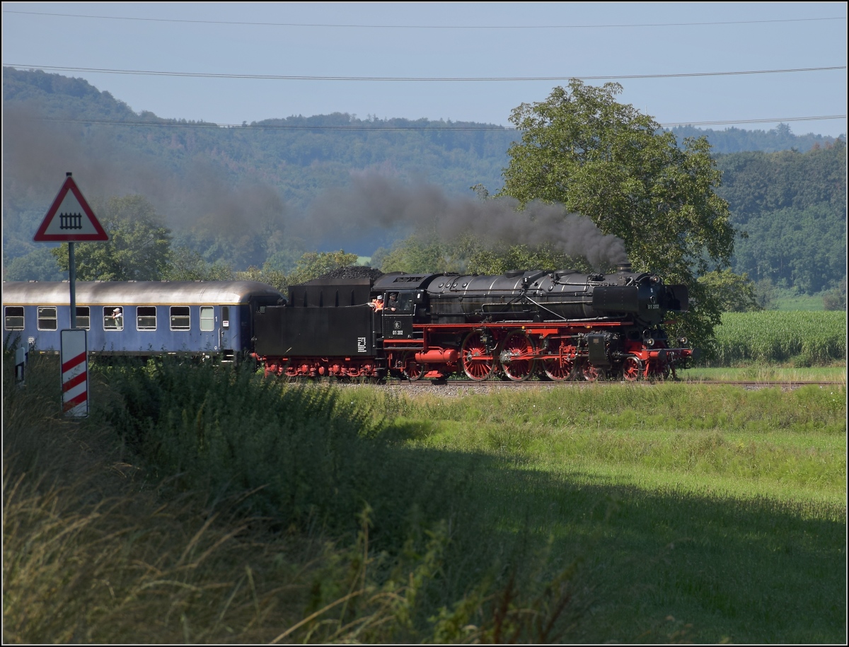 Endlich wieder Züge auf dem Schweizerbähnle (Etzwilen-Singen). 

01 202 mit dem Eröffnungszug zwischen Ramsen und Rielasingen, August 2020.