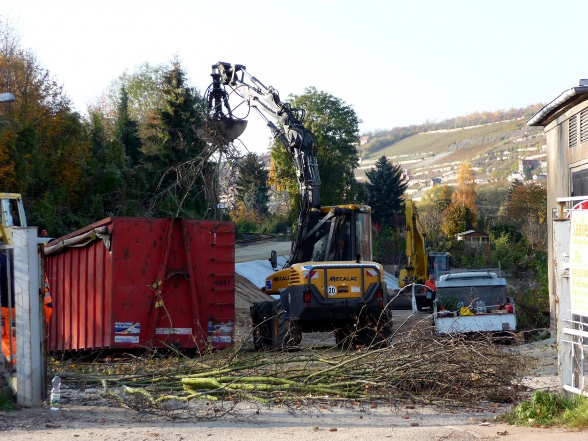 Entsorgung von Wildwuchs beim Neubau der Bahn-Bus-Schnittstelle am 02.11.2011 in Freyburg. (Foto: Klaus Pollmächer)