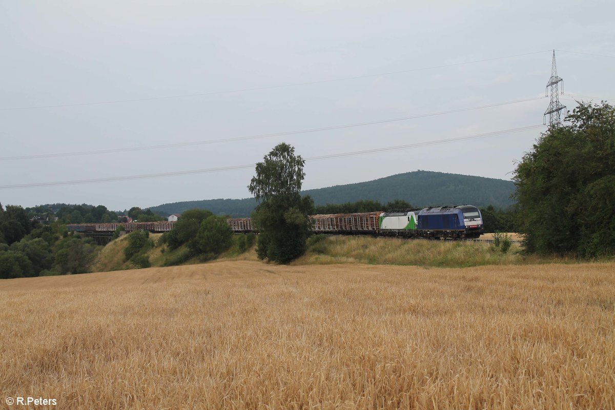 ER20 010 und 193 821 mit einem Holzzug Cheb - Regensburg bei Seußen. 28.07.19