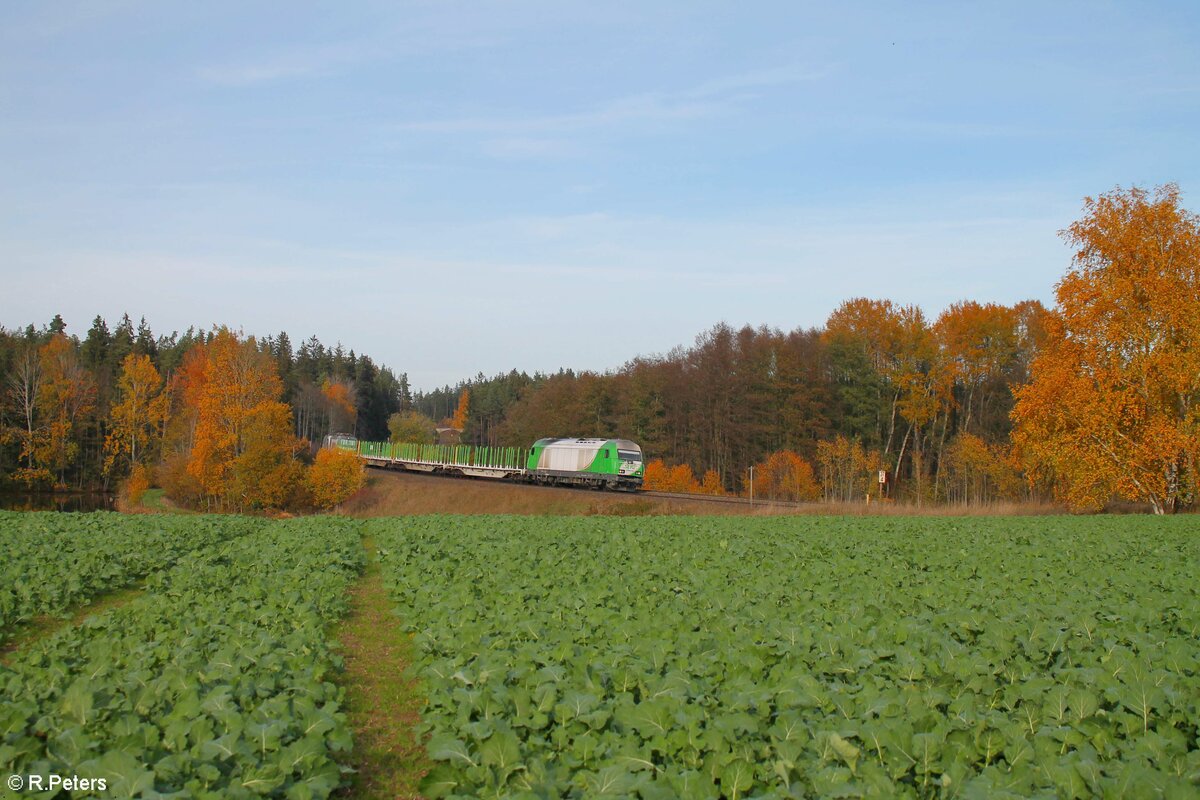 ER20-04 mit einer Überführung von 4 Holztransportwagen + 193 692  Woodwork  + 193 218  Beethoven  nach Regensburg bei Oberteich. 31.10.22