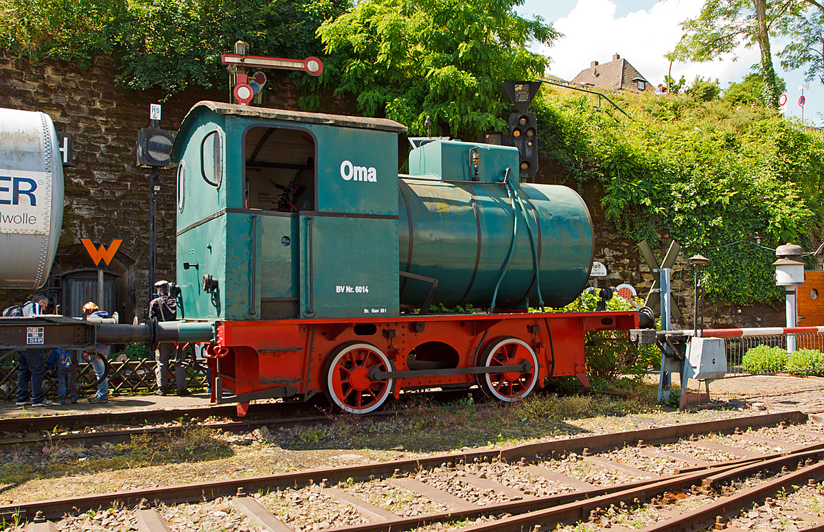 Es gibt nicht nur Oma-Bänke, sondern auch Oma-Loks.....

Dampfspeicherlok  Oma , BV Nr. 6014, am 31.05.2014 im DGEG Museum in Neustadt an der Weinstraße. 

Die Lok vom Typ Barmen wurde 1920 von der Aktiengesellschaft für Lokomotivbau Hohenzollern in Düsseldorf unter der Fabriknummer 4005 gebaut und 1922  Louis Krages GmbH, Bremen-Industriehafen geliefert, 1955 ging sie zur BASF  (Badische Anilin- und Sodafabriken AG) in Ludwigshafen bis sie wiederum an die Aral AG in Bochum verkauft wurde, hier wurde sie als  Oma  BV Nr. 6014 bezeichnet. 1989 wurde sie von der Aral AG an DGEG - Deutsche Gesellschaft für Eisenbahngeschichte (Museum Neustadt) gestiftet.  

In feuergefährdeten Betrieben wurden (vereinzelt auch heute noch) feuerlose Dampfspeicherlokomotiven eingesetzt. Der Kessel wird zu ca. 2/3 mit Heißwasser gefüllt und dann mir Dampf aufgeladen (hier bis 12 bar). Die im Wasser gespeicherte Wärme wird mit sinkendem Kesseldruck wieder in Dampf umgewandelt. Da die im Wasser gespeicherte Wärme und der Kesseldruck bei diesem Verfahren ständig abnehmen, sind die Loks so konstruiert, dass sie noch mit einem Druck von ca. 2 bar fahren können. 

Mit einer Füllung kann die Lok, je nach Belastung, 2 bis 3 Stunden rangieren. 

TECHNISCHE DATEN: 
Spurweite: 1.435 mm 
Bauart: B n2 
Länge über Puffer: 7.020 mm 
Treib- und Kuppelraddurchmesser: 880 mm 
Zylinderdurchmesser: 300 mm 
Kolbenhub: 400 mm 
Steuerung: Joy 
Kesseldruck (max): 12 bar 
Dienstgewicht: 25 t 
Höchstgeschwindigkeit: 40 km/h