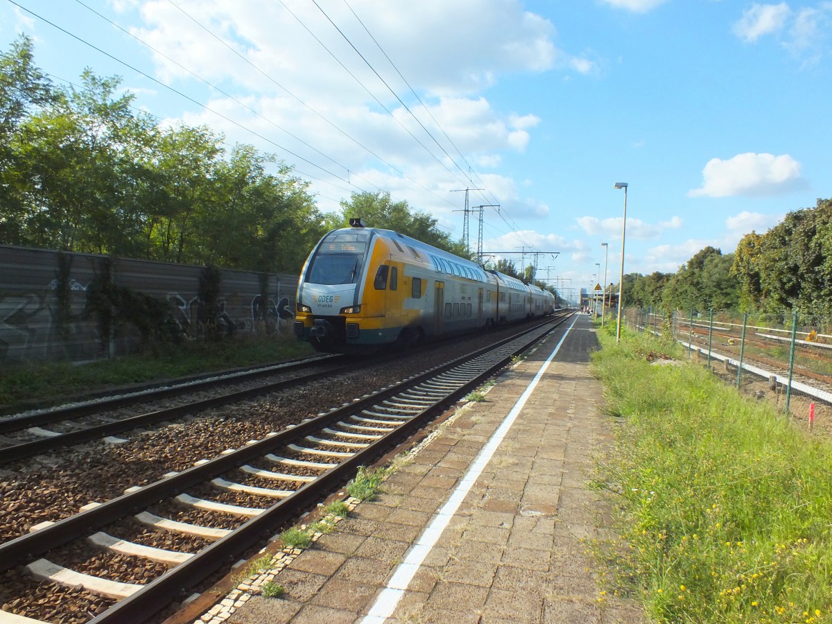 ET445.102 durchfhrt am 2.10.13 im Schatten der ppigen Vegetation Berlin-Karlshorst.
RE2 -> Cottbus