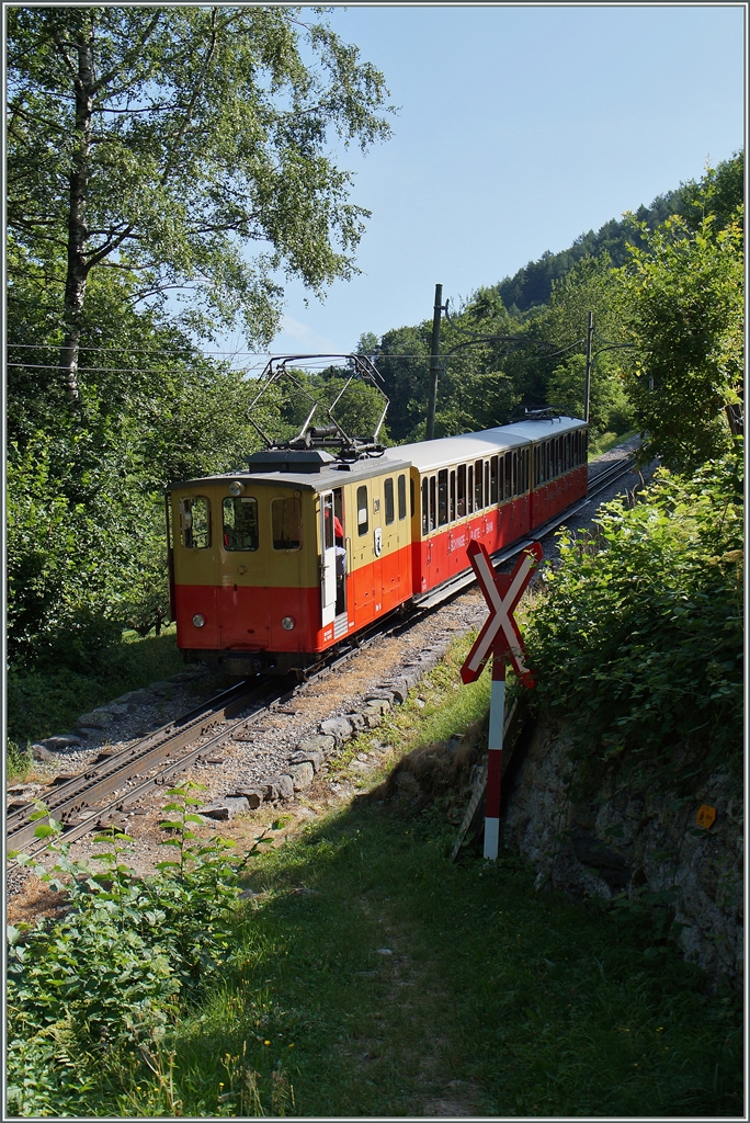 Etwas oberhalb von Wilderswil strebt dieser SPB Zug steil bergwärt.
12. Juli 2015 
