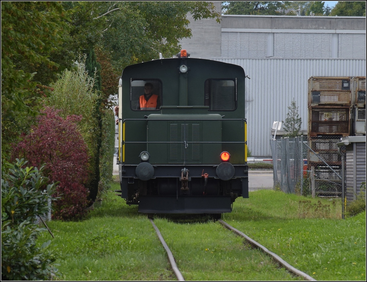 Fahrtag Wolfhuuser Bahn.

Tm 2/2 111 fährt an einer akurat geschnittenen Hecke in Wolfhausen vorbei. Oktober 2021.