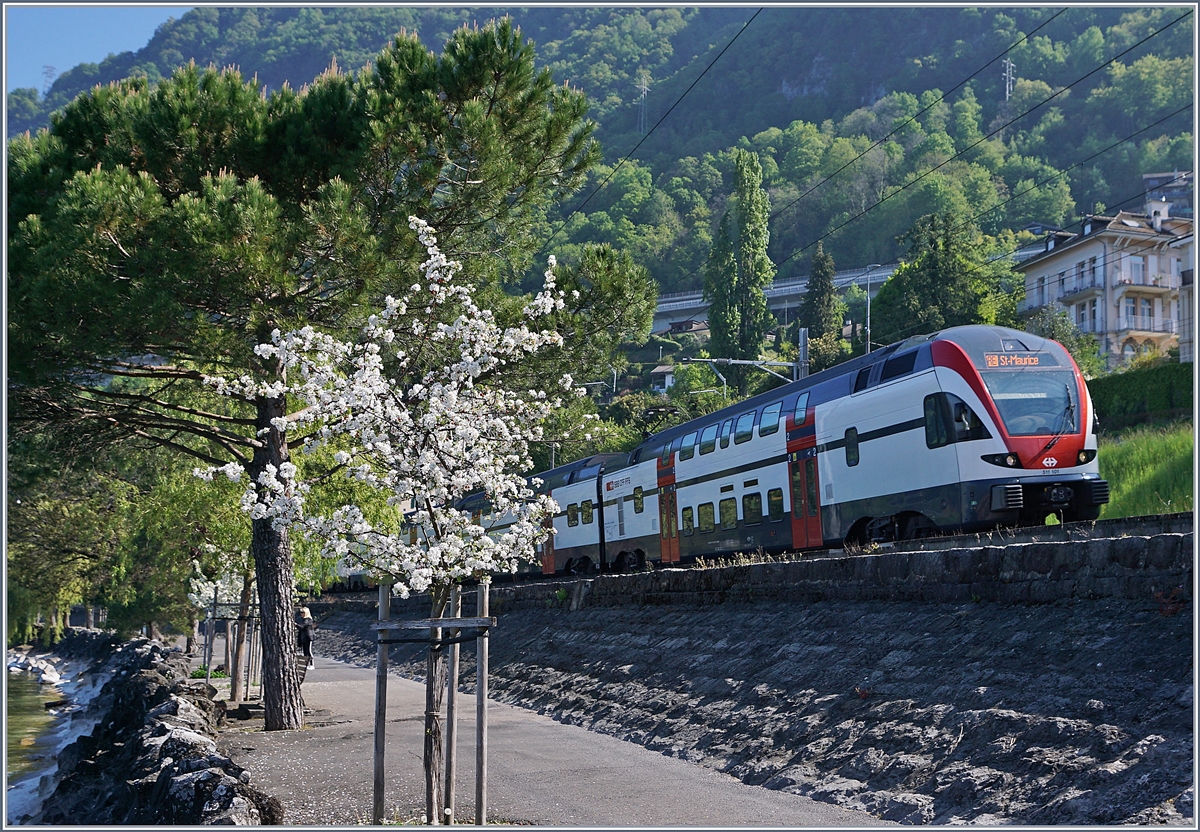 Frühling am Genfersee und als eigentliches Motiv der SBB RABe 511 101 auf dem Weg nach St-Maurice.

16. April 2020