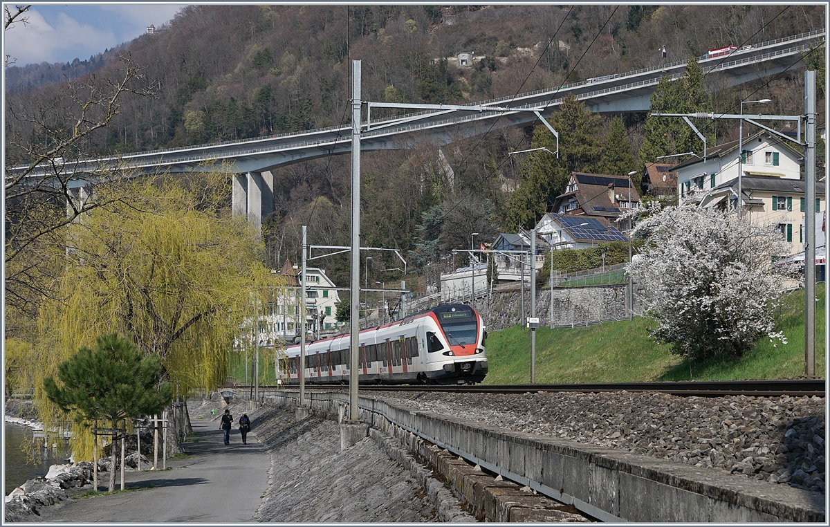 Frühling am Genfersee bei Villeneuve; ein Flirt wird in Küzre sein Ziel erreichen. 

28. März 2019