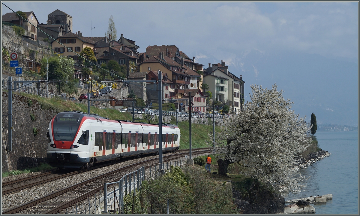 Frühling am Genfersee -trotz Schleierwolken.
Ein SBB RABe Flirt bei St-Saphorin am 6. April 2014.