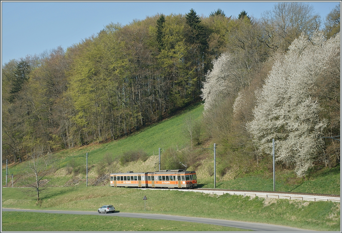 Frhling bei Chtel St-Denis. 
16. April 2011