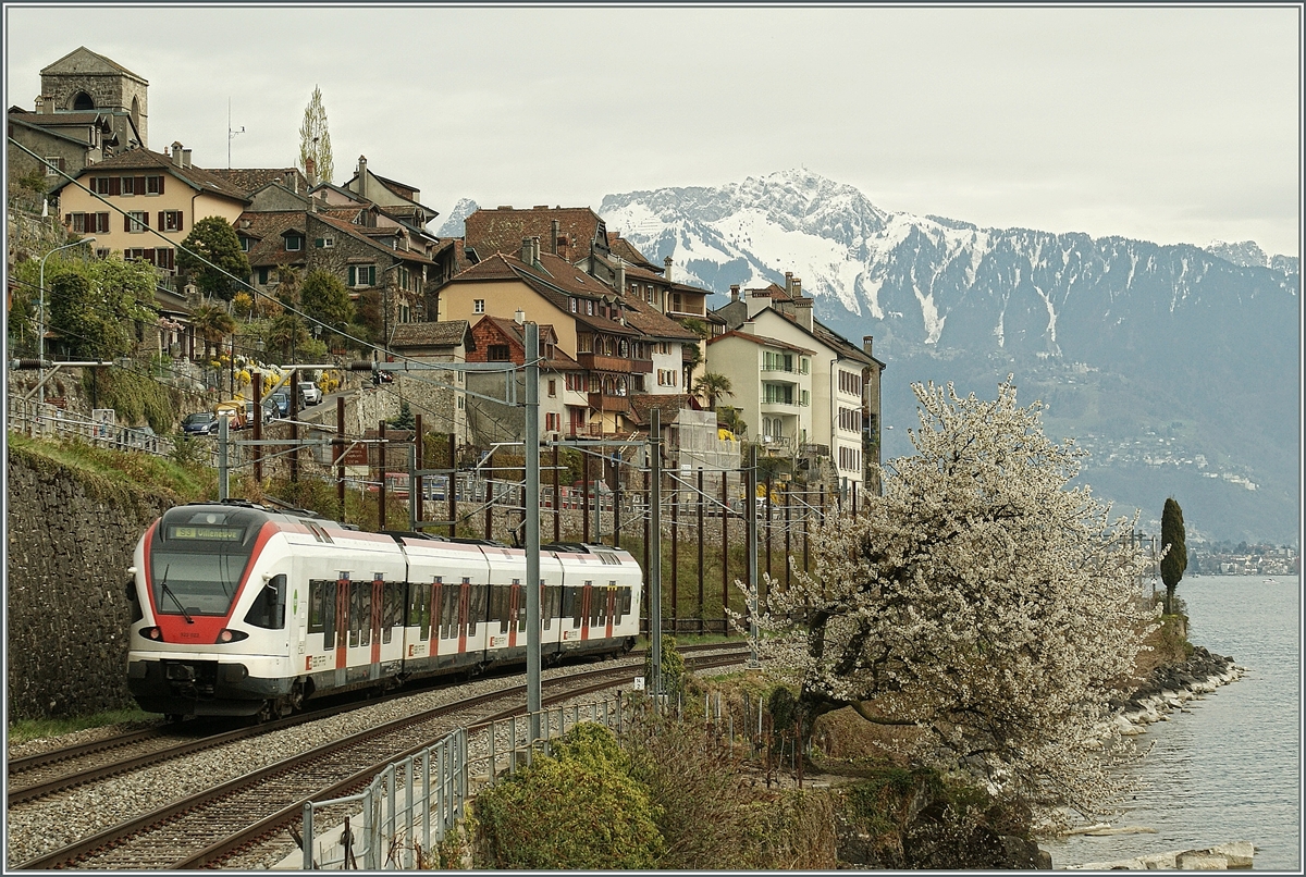 Frühling in St-Saphorin: Ein Flirt auf dem Weg nach Villeneuve.
9. April 2012