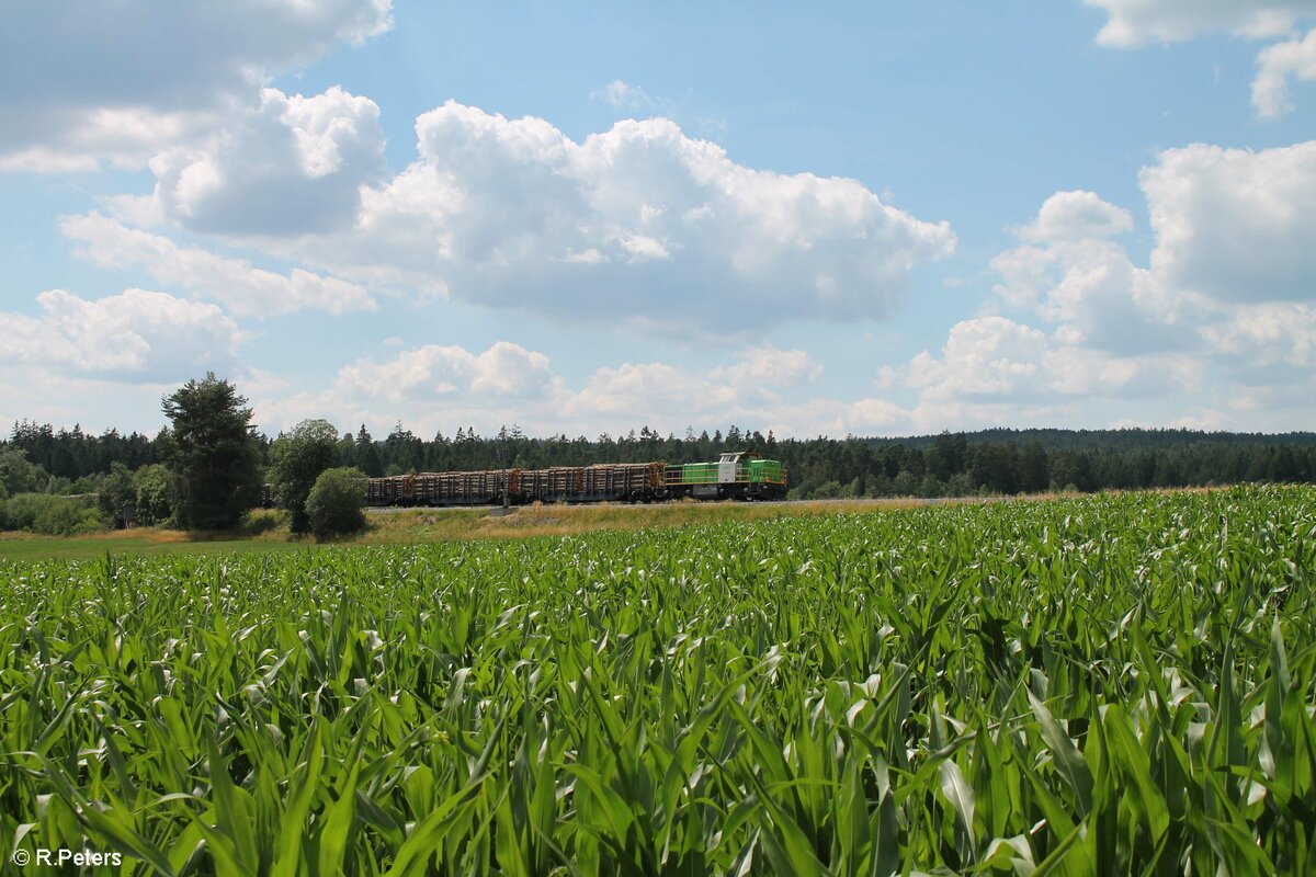 G1700.03 mit einem Rundholzzug aus Nürnberg langwasser nach Cheb kurz vor Waldershof. 06.07.22