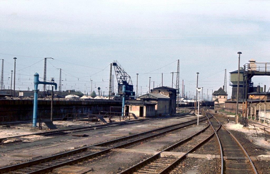 Gleisanlagen am 08.05.1981 im Bw Halle G. (Foto: Klaus Pollm�cher)